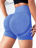 Shorts Fitness Yoga Compressor