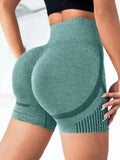Shorts Fitness Yoga Compressor